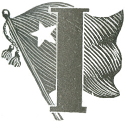Illustrated letter I with flag