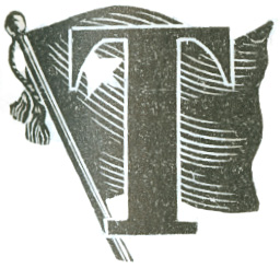Illustrated letter T with flag