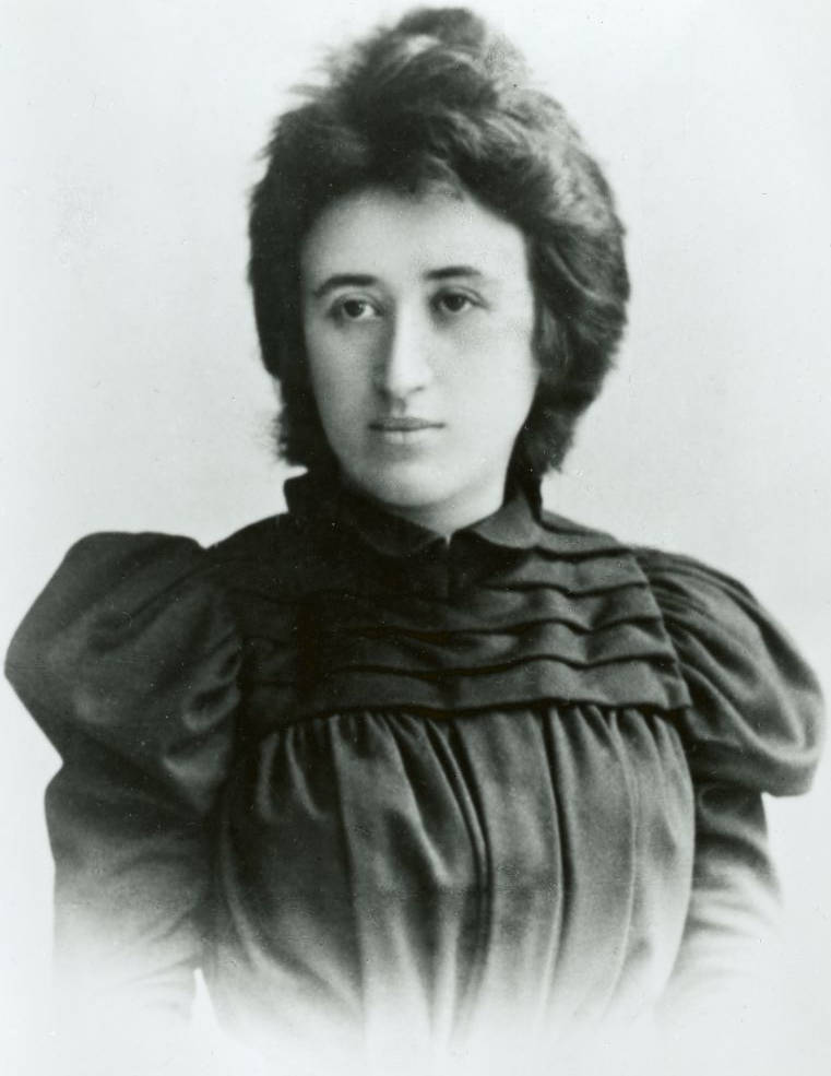 Rozos Liuksemburg portretas